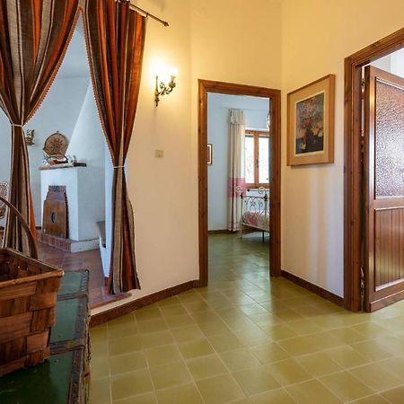 Villa Andrea Valledoria  Dış mekan fotoğraf