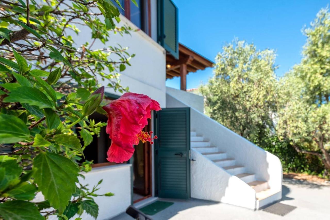 Villa Andrea Valledoria  Dış mekan fotoğraf